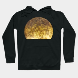 Fungi Alternaria Hoodie